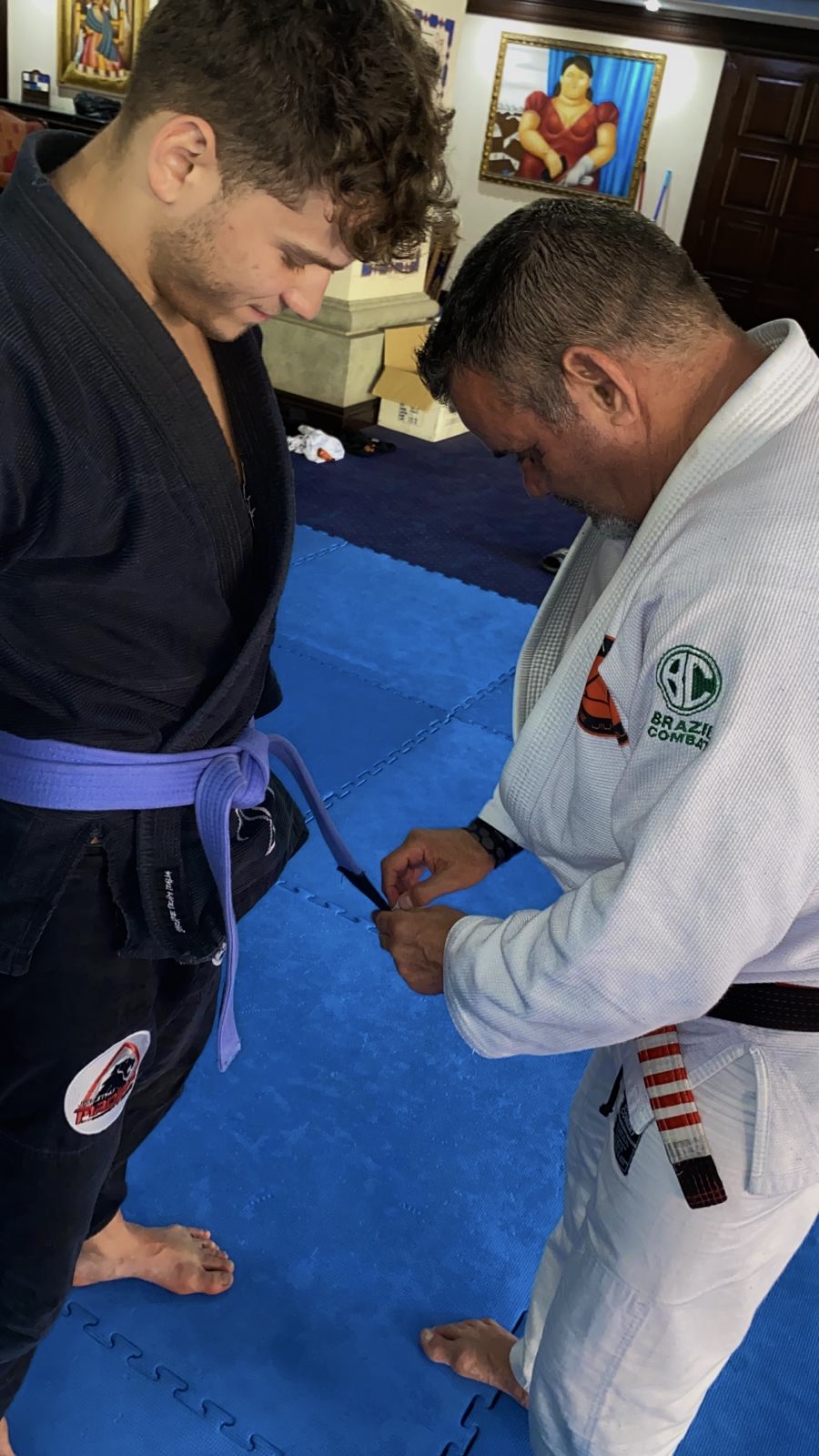 Cinture BJJ