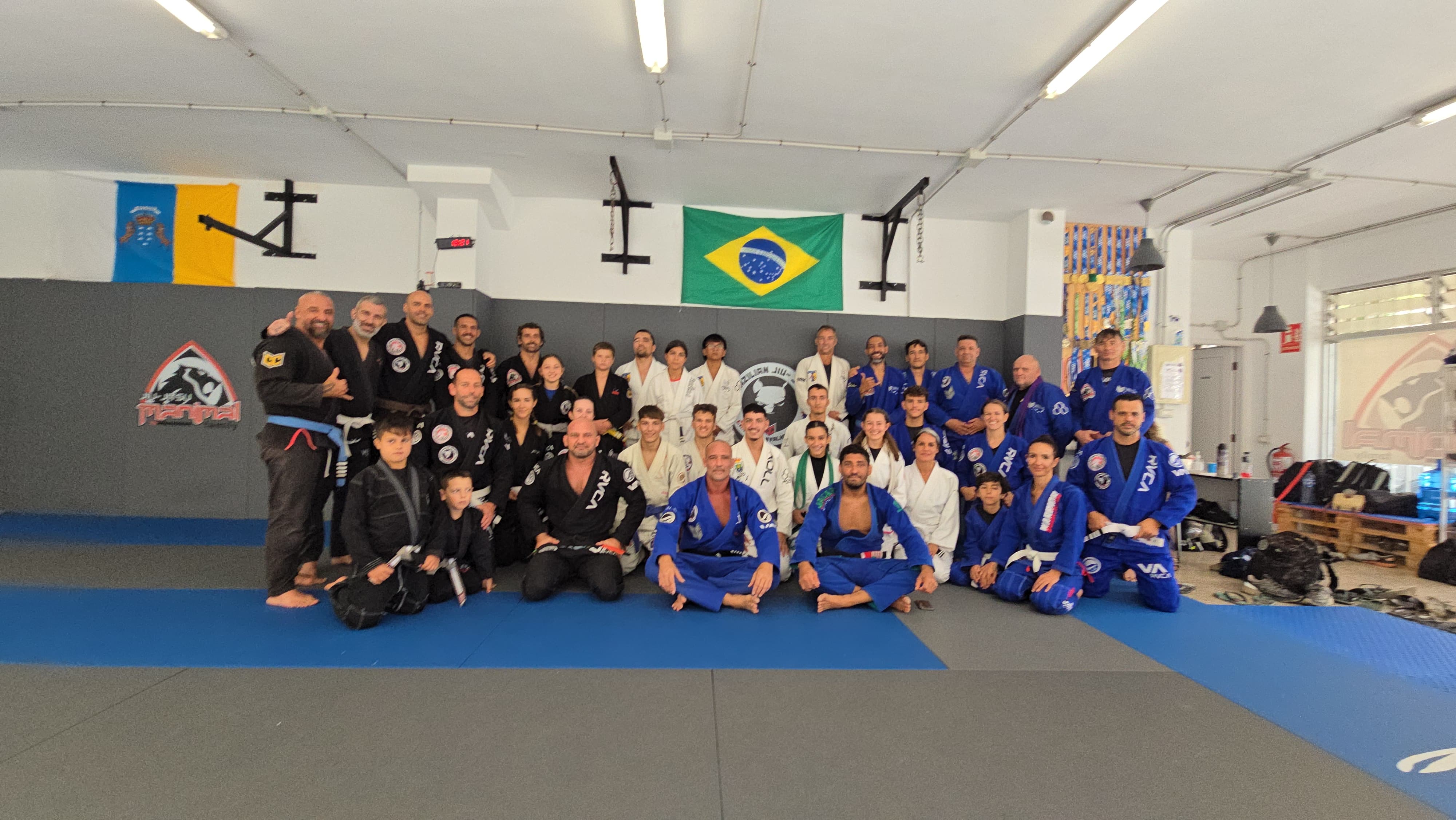 BJJ stage